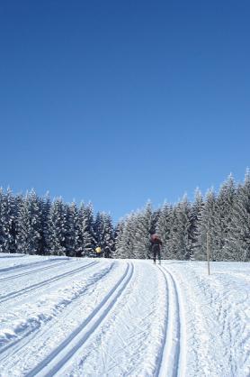 Běžkařská trasa