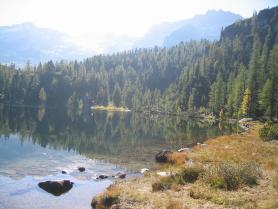Jezero Reedsee