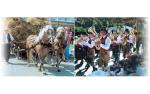Dorfgastein - Venkovský festival